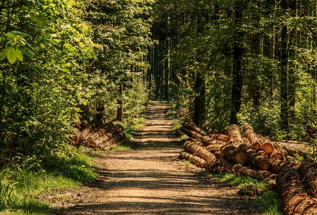 Het avontuur van een uitvaartbegeleidster, deel 7 uitvaart op locatie